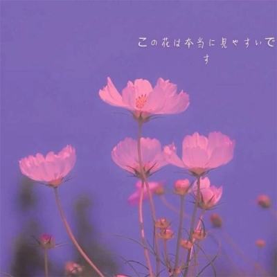 安博.体育下载手机版