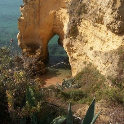 宝博游戏手机app下载